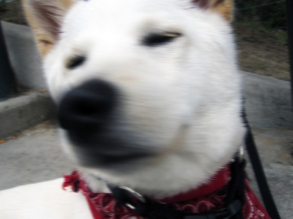 Casper CO, United States