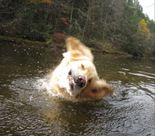 Rachael Cooke CT, United States